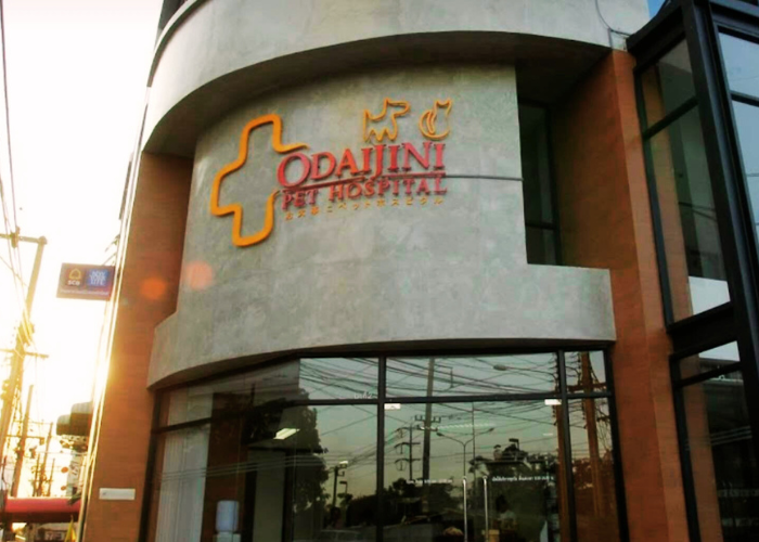 Odaijini Pet Hospital