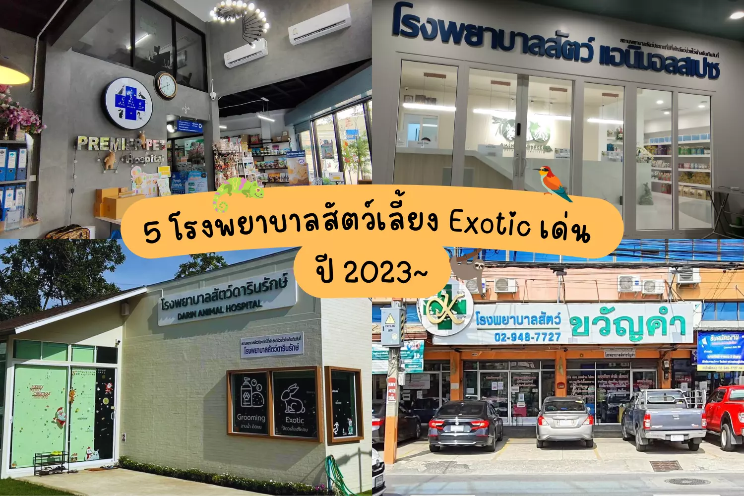 5 โรงพยาบาลสัตว์เลี้ยง Exotic เด่น ปี 2023